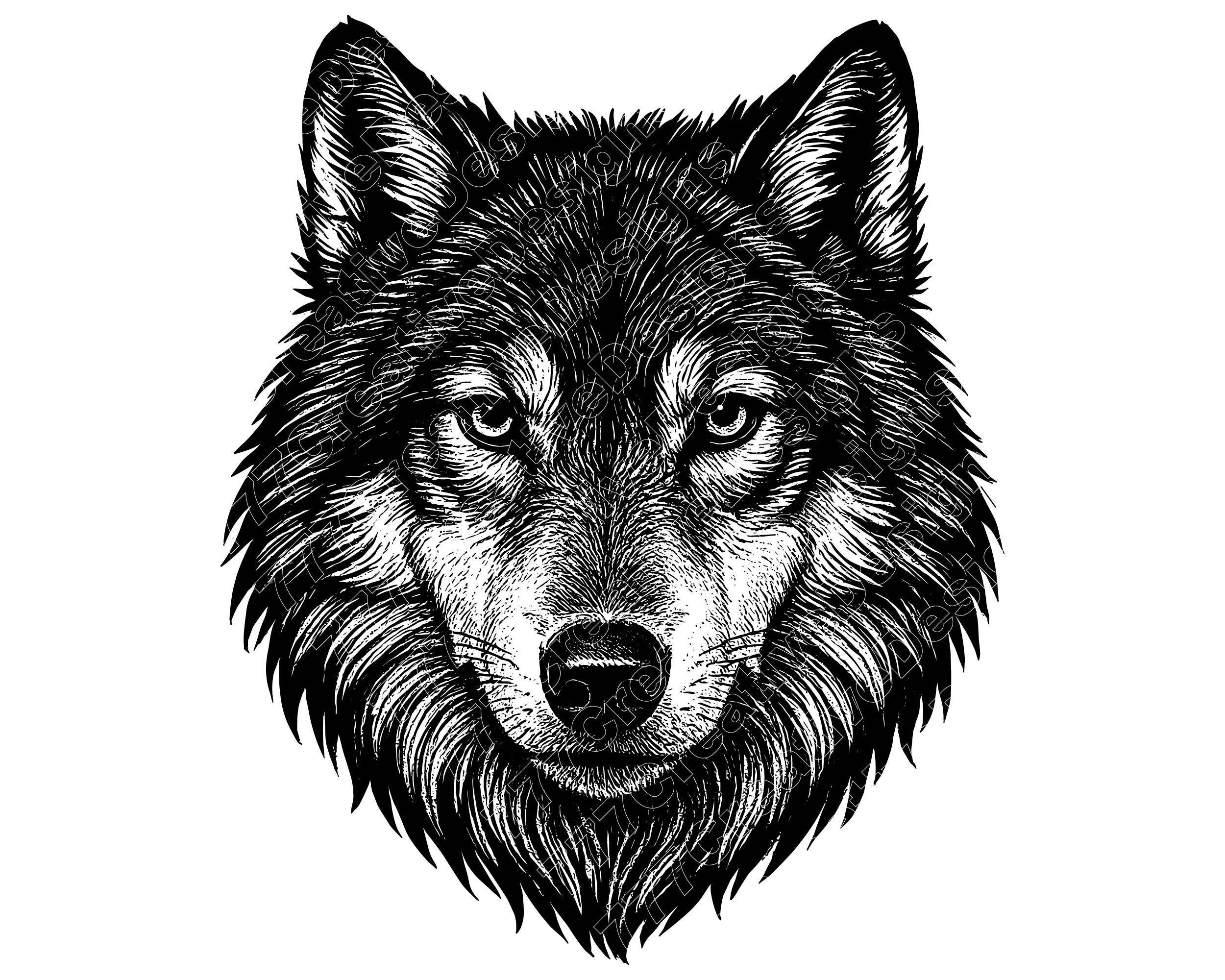 Illustrazione vettoriale di testa di lupo, lupo SVG, lupo PNG, lupo JPG, arte del lupo, clipart del lupo, sagoma del lupo, testa di lupo ululante, tes
