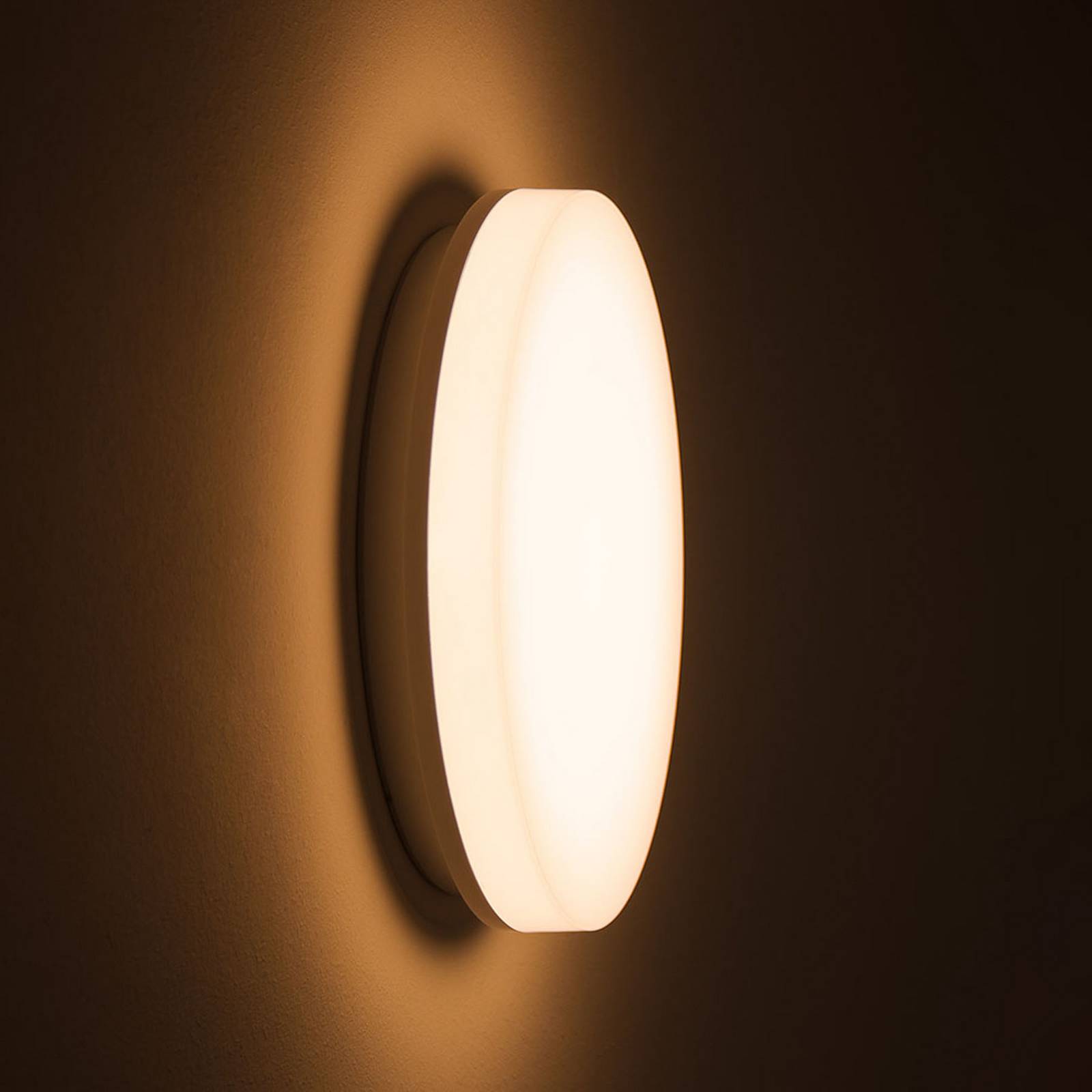 DOTLUX LED-Deckenlampe SURFACE, Ø 40 cm, weiß, PC, CCT, IP54 SURFACE, weiß / opal, für Badezimmer, Kunststoff