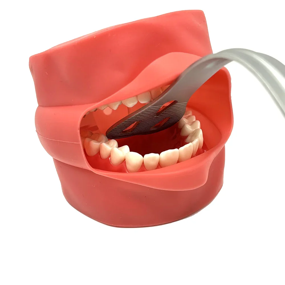 Lingual Isolation Mundretraktor Dental Oral Opener Breiterer Wangenlippenknebel für Zahnmedizinverfahren Passend für Erwachsene Image