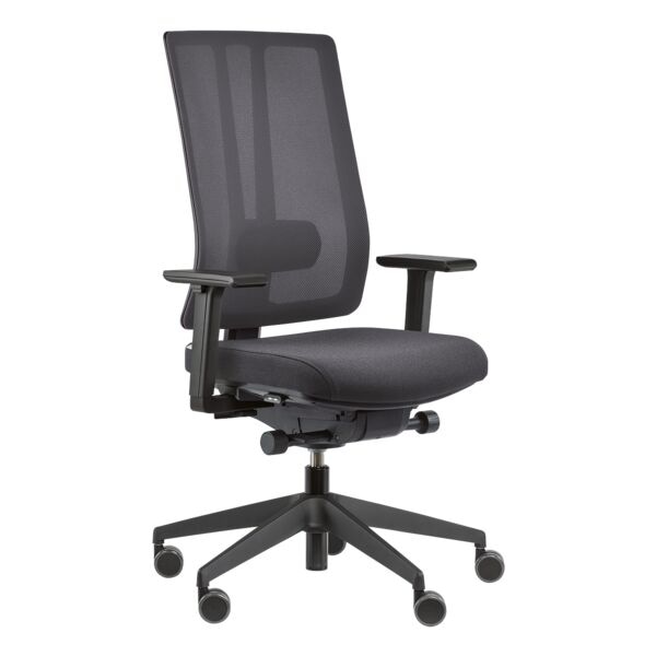 Original Steifensand Bürostuhl »Ceto Novo CN 25CU1L2« mit Armlehnen grau, 69 cm Image