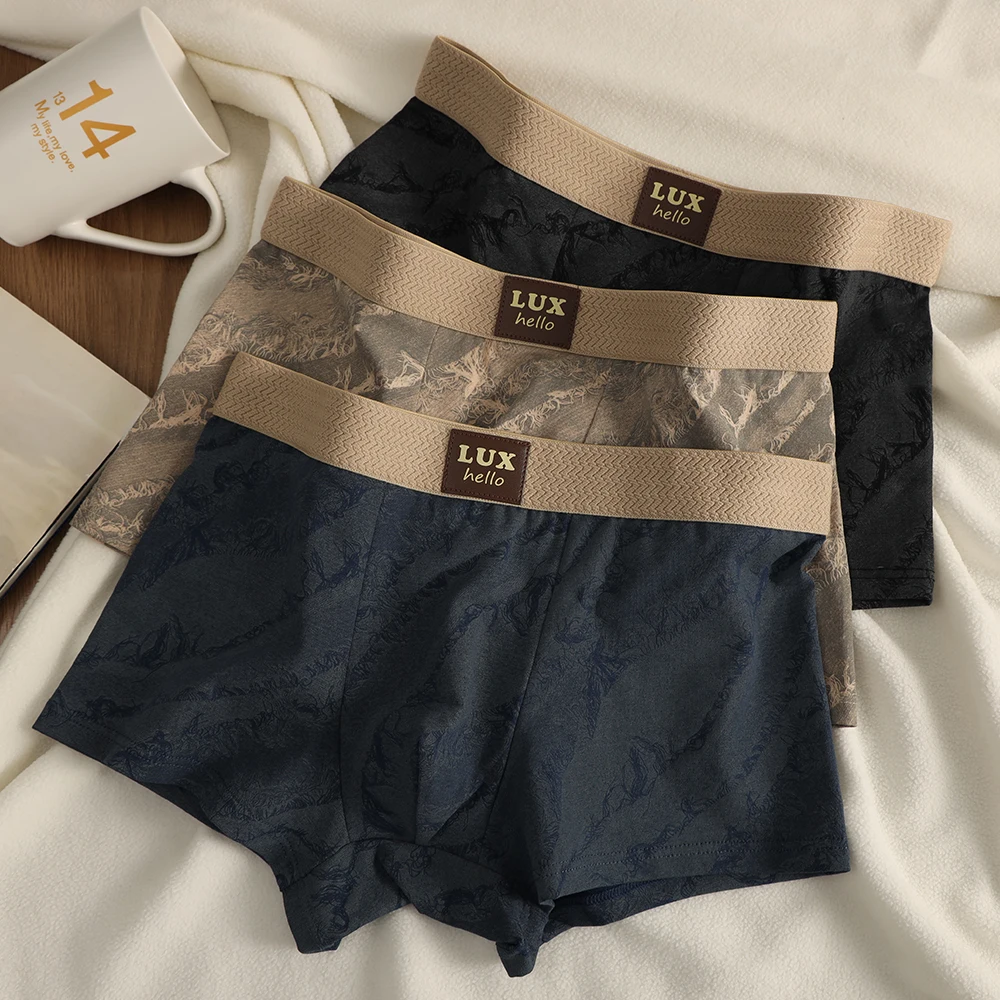 3 Teile/paket 100% Baumwolle Luxus Druck Boxer Hombre 3D Mesh Atmungsaktive Antibakterielle Beutel Unterwäsche Komfortable Weiche männer Höschen Image