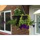 Plantopia 5 x Easy Fill Hanging Baskets/Planters, Black 14", FREE Express Delivery