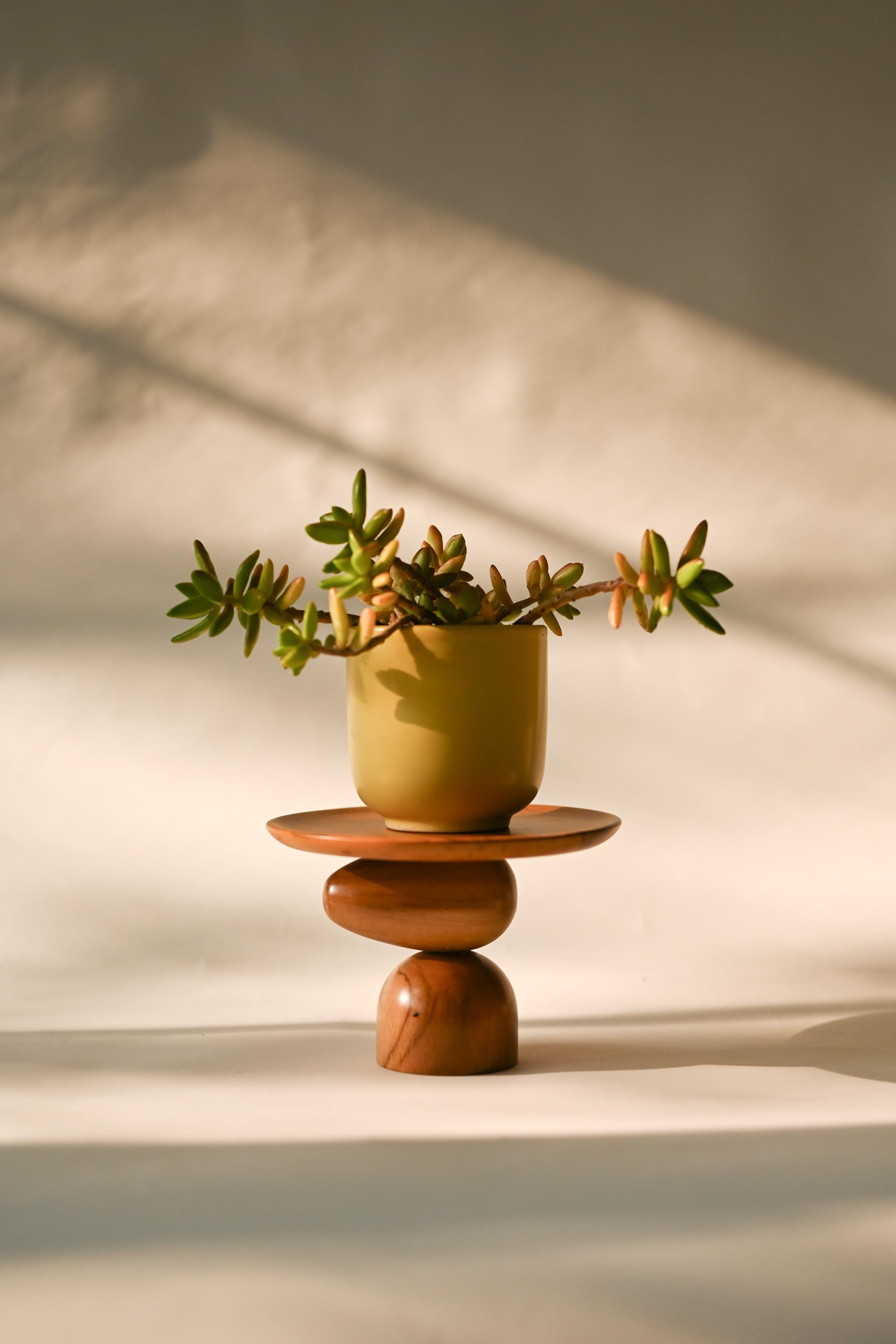 Portavasi classico in miniatura, moderno di metà secolo, arredamento per interni in legno massello di teak fatto a mano, portagioie, prendi tutto