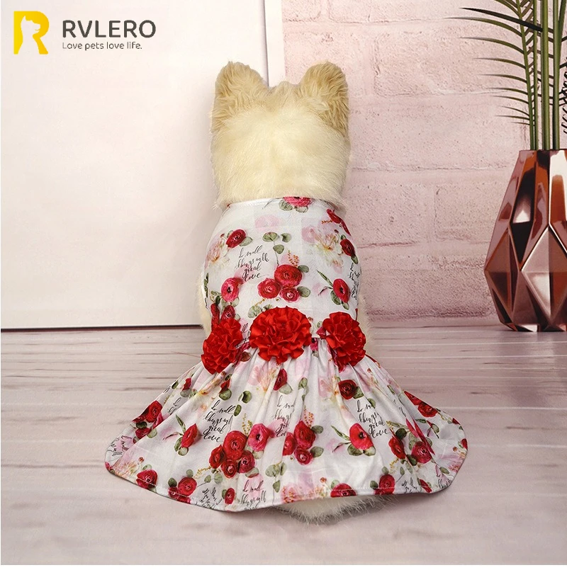 Hundekleid, Rock, Kleidung, Kleid, rote Rose, Kirsche, Liebe, Welpe, Teddy, Katze, ärmelloses Kleid, Party, Versammlung, Valentinstag, Anzieh Image