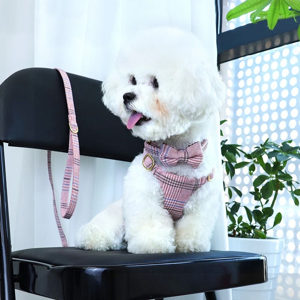 Adjustable Nylon Dog Harness Collar And Leash Set With Bow For Small And Medium Dogs blue xs