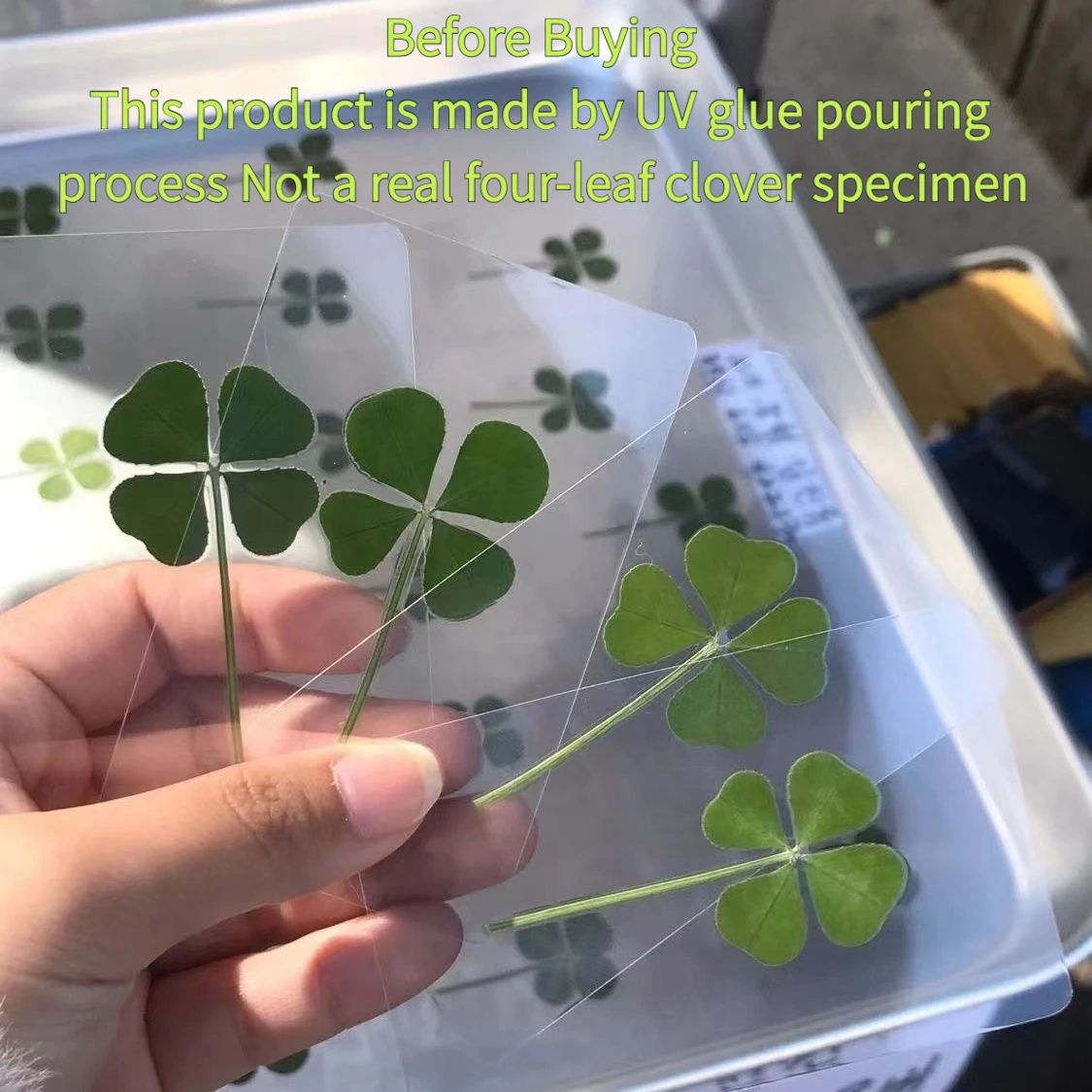 10 Stück Lucky Clover Postkarten, natürliches Gras, transparente Wunschkarten, ideal für Lesezeichen und Dekorationen, perfekte Weihnachtsgeschenke Image
