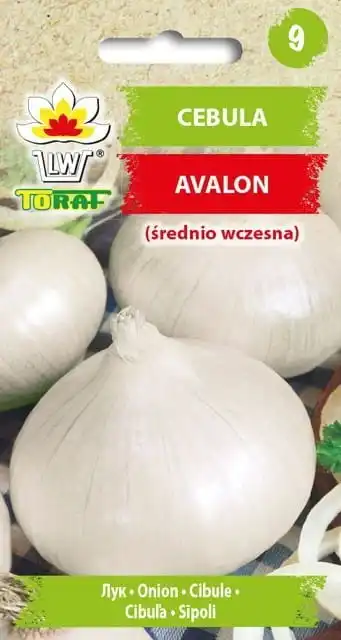 Avalon Zwiebel 3g Toraf Gemüse Zwiebel samen Image