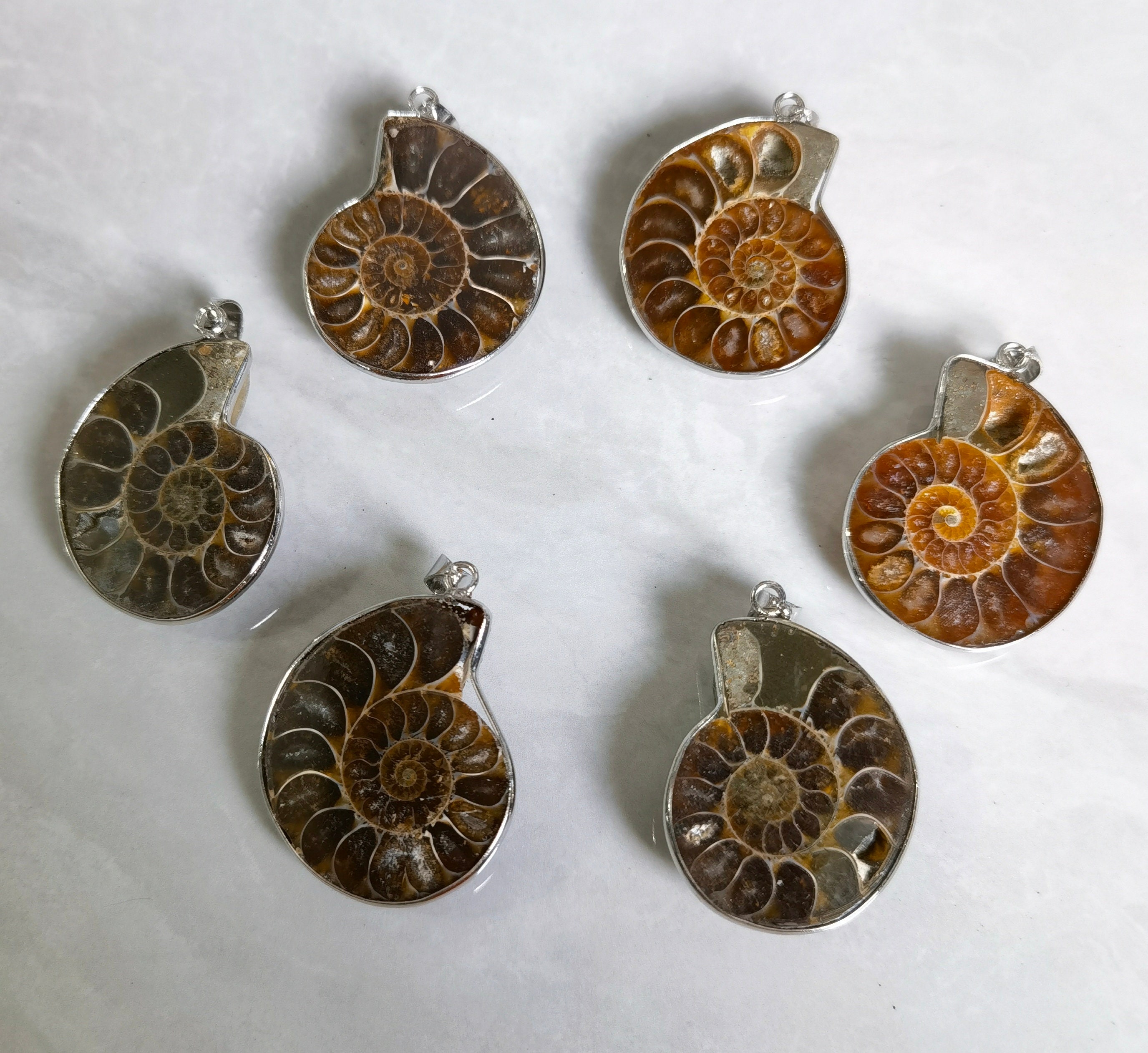 2 ciondolo di fascino fossile di lumaca di mare, ciondolo fossile di ammonite, ciondolo di conchiglia di mare nautico, ciondolo fossile di conchiglia,