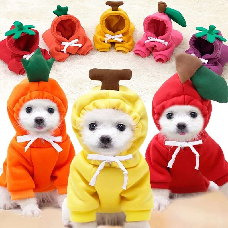 Plush Cartoon Fruit Pet Winter Fleece frog m