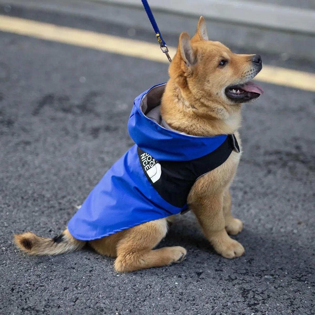 Summer Dog Shirt Lightweight Pet Apparel red xxl