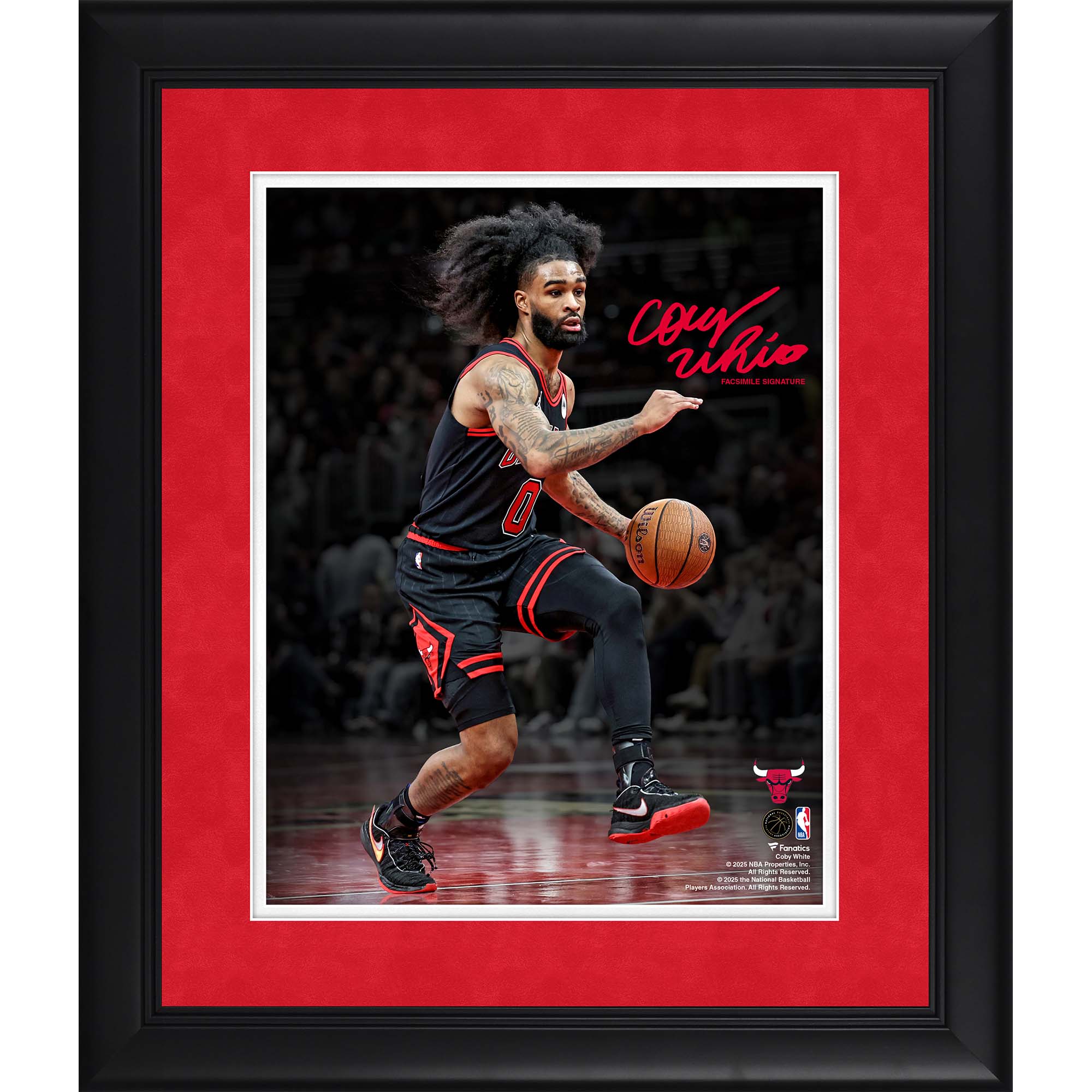 Faksimile-Unterschrift von Coby White (Chicago Bulls), gerahmt , 11" x 14" Spotlight-Fotografie Image