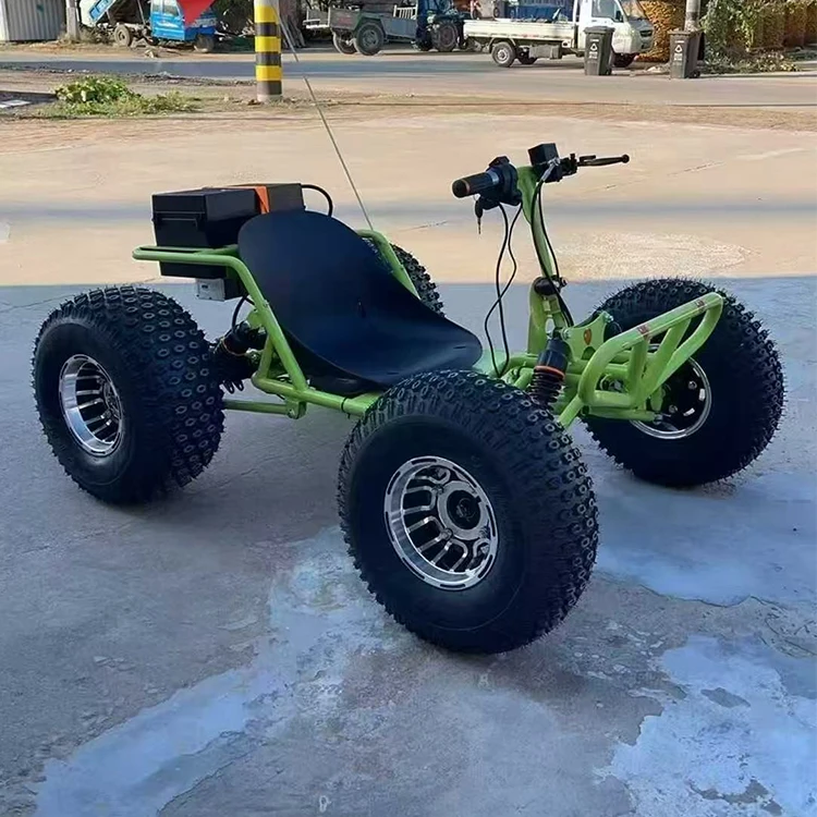 Premium-Lithiumbatterie, elektrisches Go-Kart, 1000 W, 48 V, 20 A, für Hinterhof-Track-Rennen und Outdoor-Abenteuer, schnelle, umweltfreundliche Fahrt Image