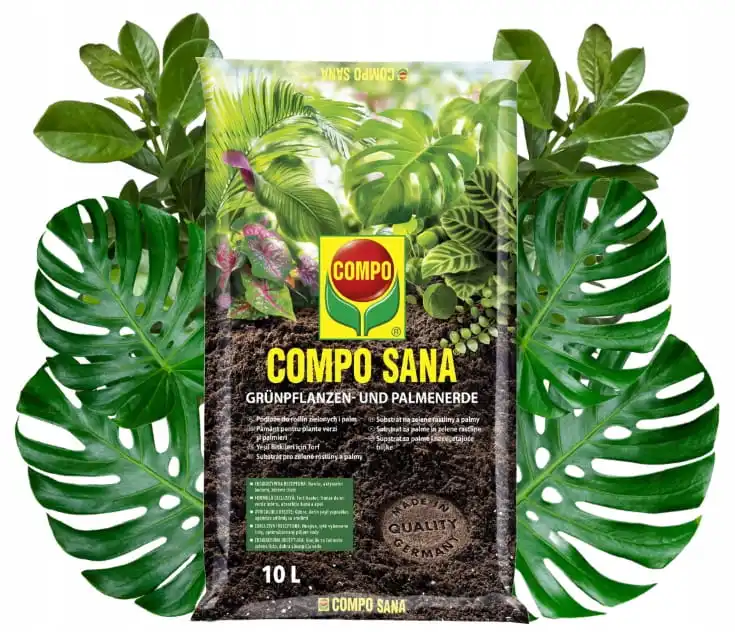 Compo Sana Grain für Grünpflanzen und Handflächenbäume 10L Torf, Perlit, Agrosil, Limette Compo Sana Image