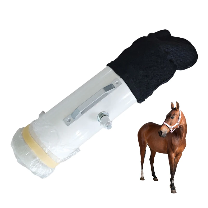 Tier-Ejakulator, Gerät zur künstlichen Befruchtung, Vieh, Bauernhof, Zucht, Werkzeuge, Esel, Pferd, Samen-Sammlung Image