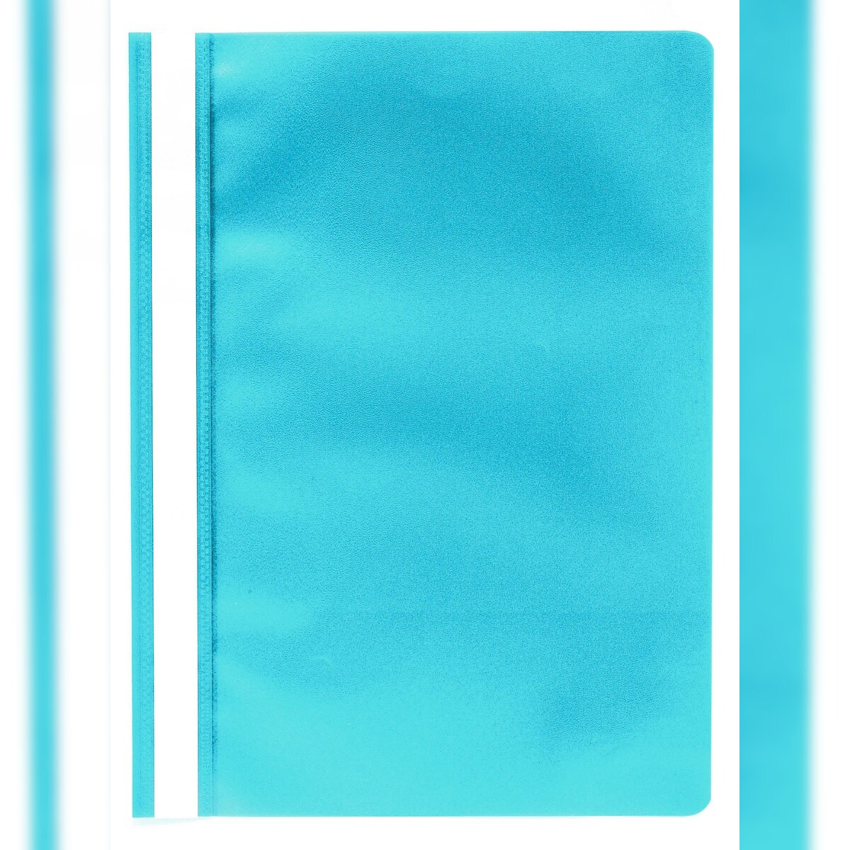 Exacompta 449206B 25x Schnellhefter mit Beschriftungsstreifen aus PP, für Format DIN A4, farbig sortiert - Hellblau Image