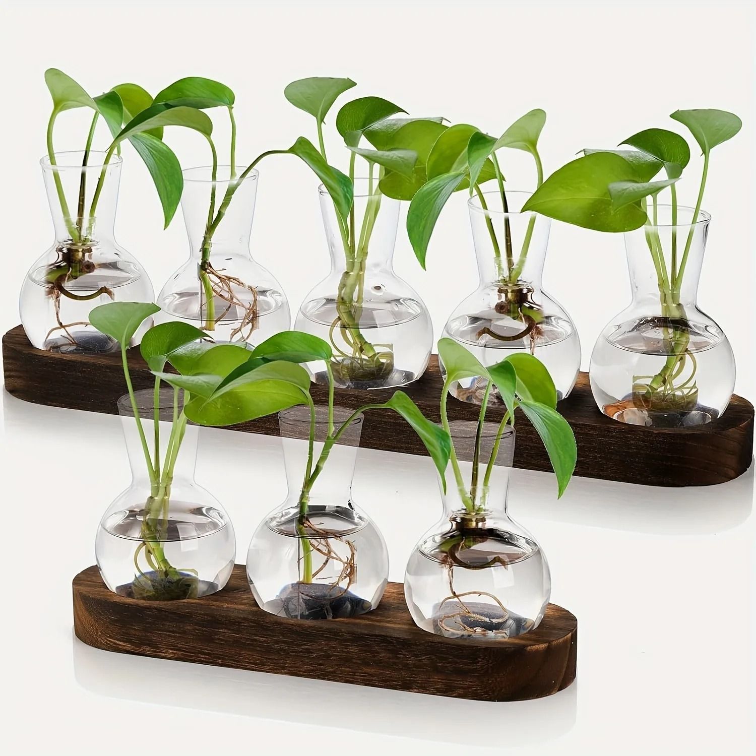 Modern Plant Terrarium Glass Vase With Wooden Tray 5pcs
