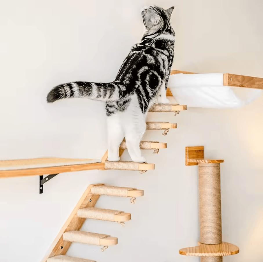 Wall Mounted Cat Hammock Bed With Wooden Shelf And Scratching Post For Indoor Cats set 56
