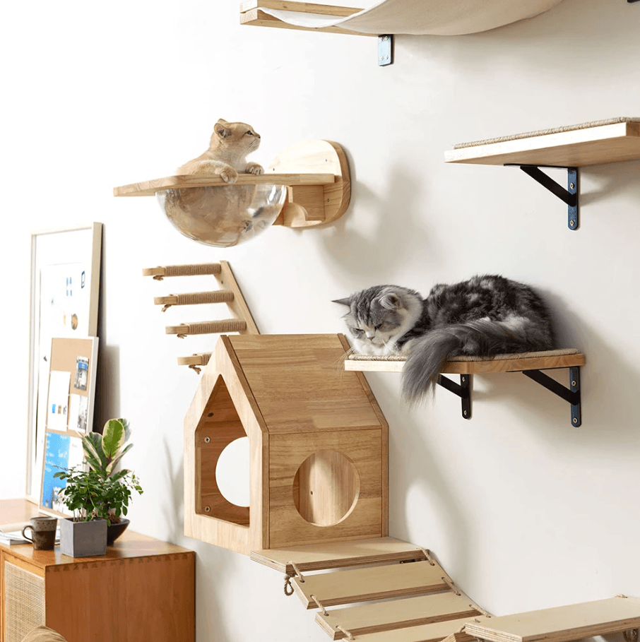 Wall Mounted Cat Shelves With Hammock And Steps For Indoor Climbing And Rest cat Face1