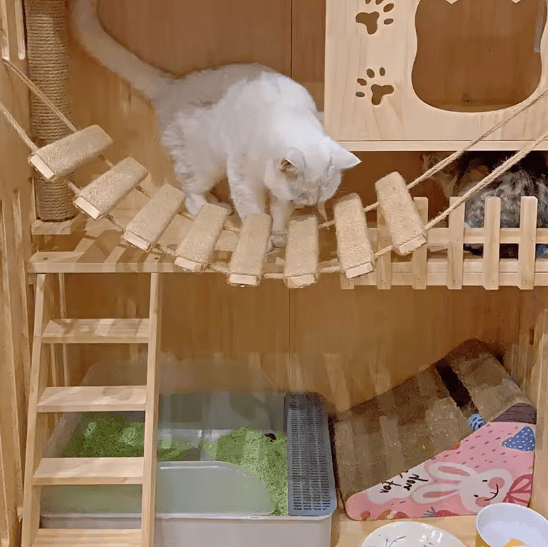 Wall Mounted Cat Bridge And Climbing Ladder With Sisal Scratcher For Indoor Cats 13.8in Length Ladder