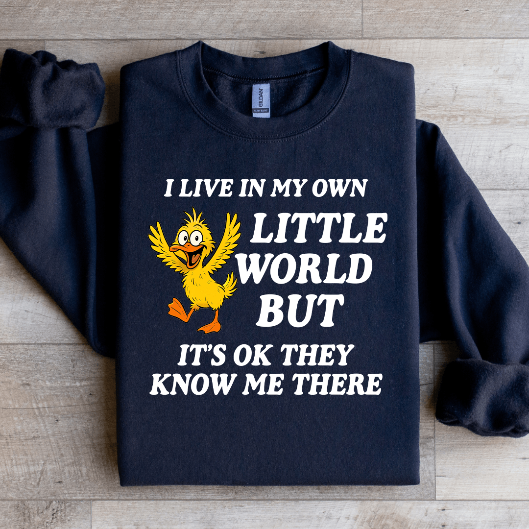 I Live In My Own Little World Sweatshirt 3XL Ash