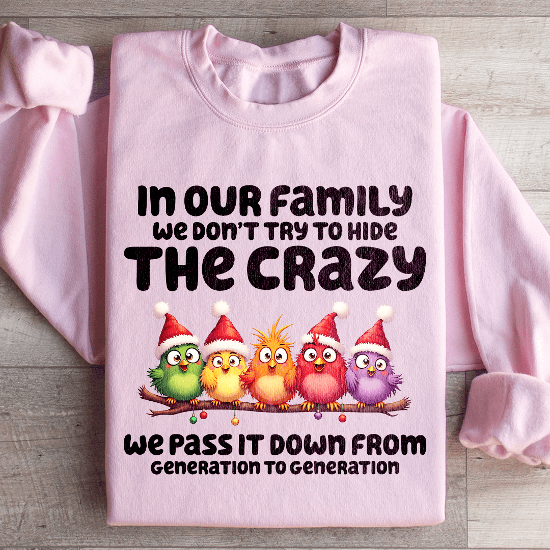 In Our Family We Don't Try To Hide Sweatshirt XL Sport Grey