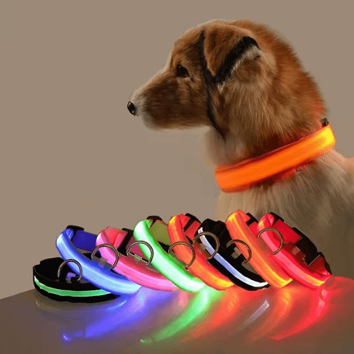Nylon Luminous Dog Leash And Glow In The Dark Dog Collar LED Safety Pet Leash For Night Walking red s