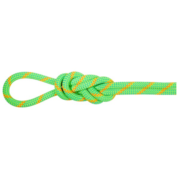 Mammut - 8.0 Alpine Dry Rope - Halbseil Länge 50 m grün