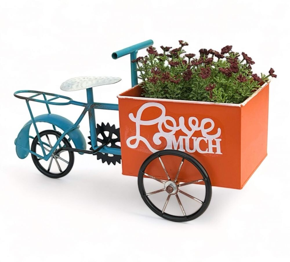 DanDiBo Blumenfahrrad für Garten Metall Stehend Fahrrad Blau Orange 96530 Pflanzfahrrad Dekofahrrad Blumenständer Image