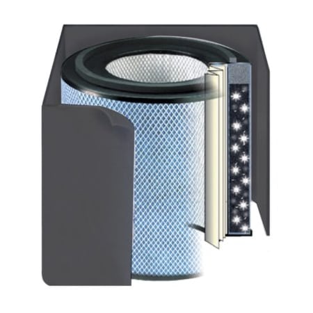 AUSTIN AIR FR450A Healthmate Plus Standard Replacement Filter, Black