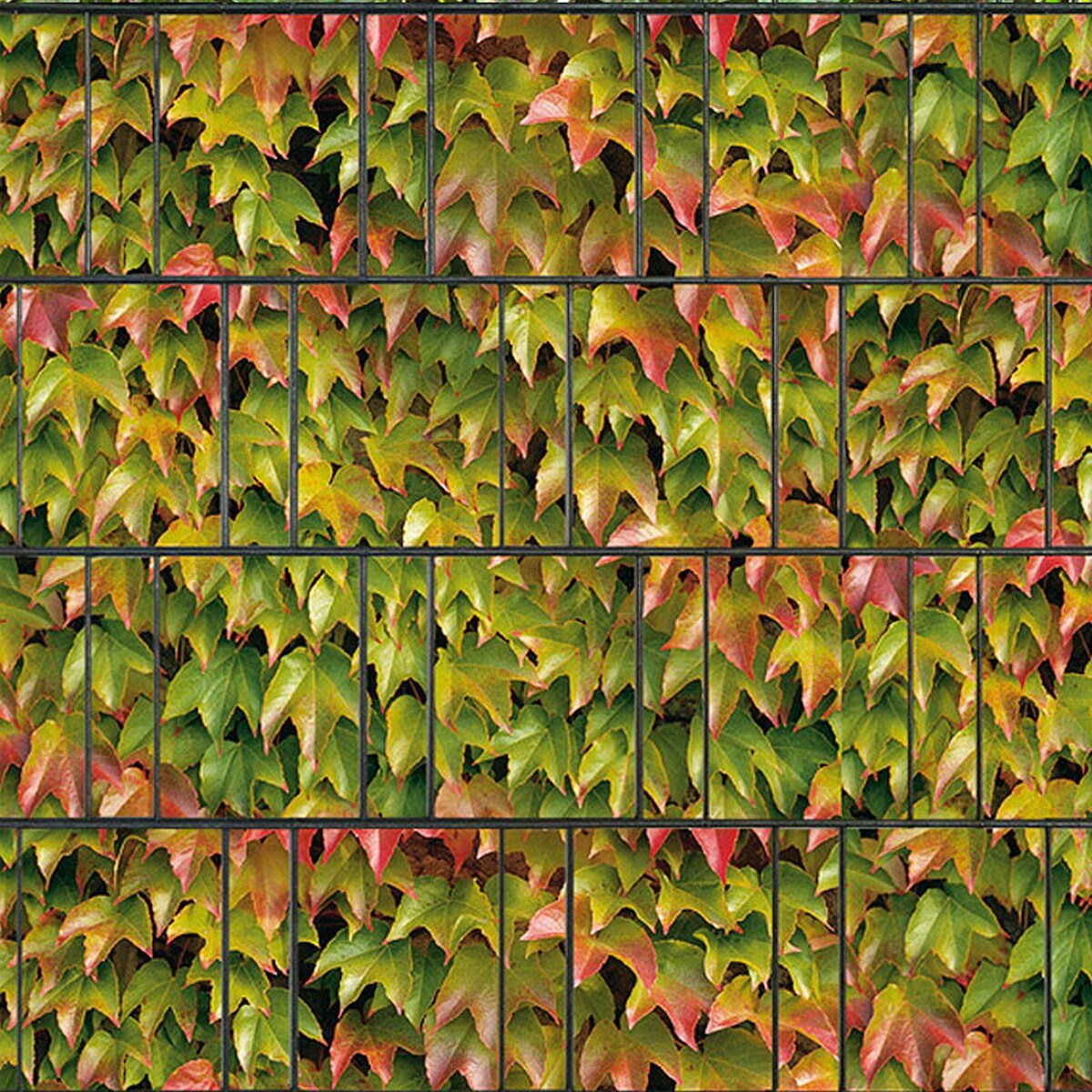 zaun|zu® Sichtschutz Breisgau bedruckter Sichtschutz 2,5m x 2,0m Image