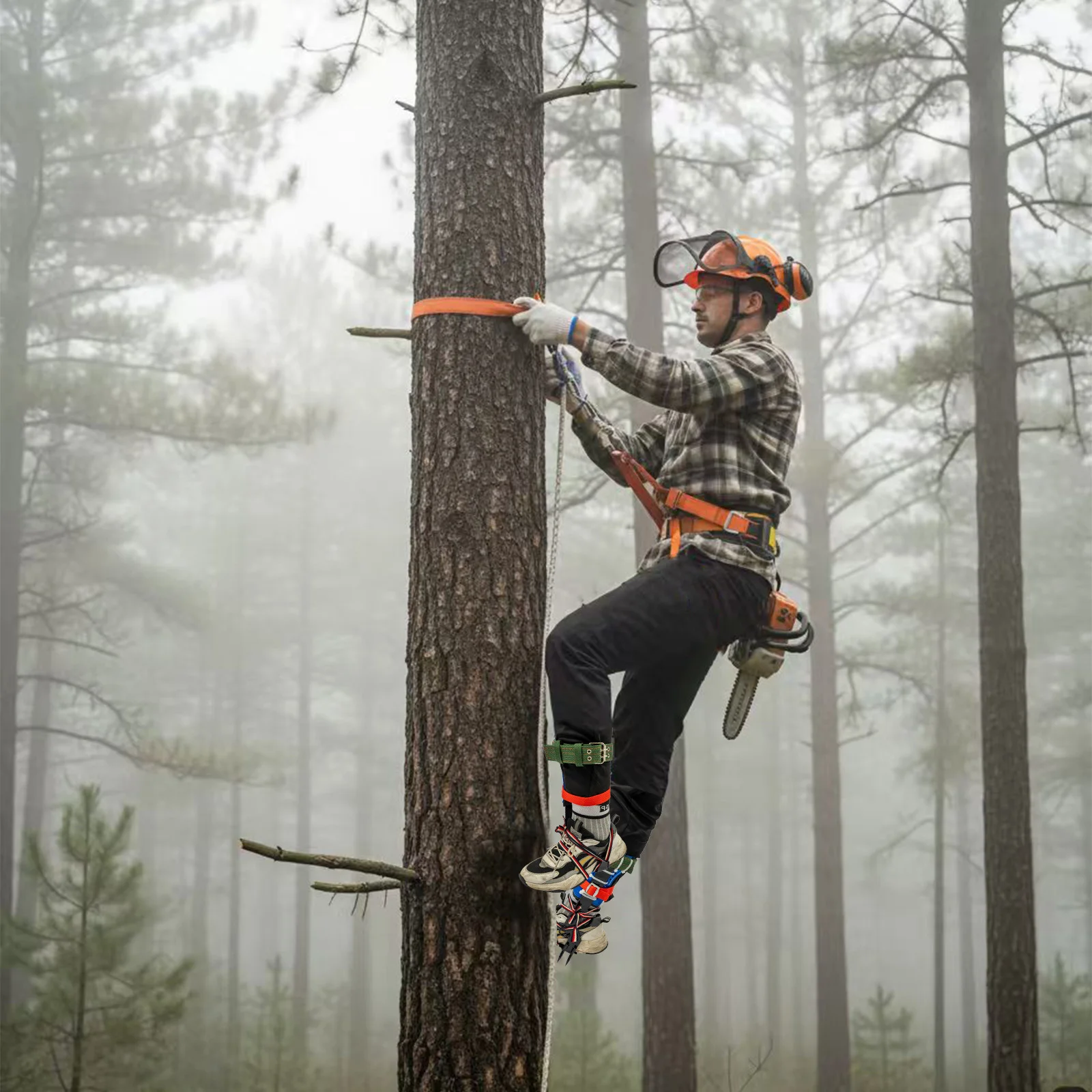 Baumkletter-Ausrüstungsset, 2-poliges Kletterporn, Klettergeschirr, Seil-Set, professionelle Baumkletterwerkzeuge für die Arbeit von Baumpfleger Image