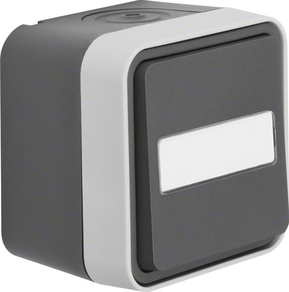 Berker Taster Wechsler 50763555 Image