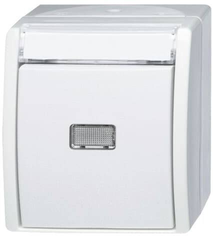 Busch-Jaeger ABB 2CKA001484A0378 Wippschalter IP44 Image