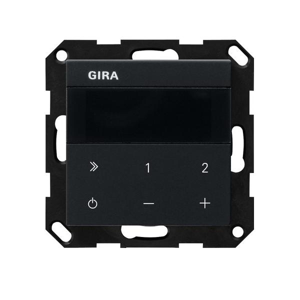 Gira UP-Radio IP 2320005 Image
