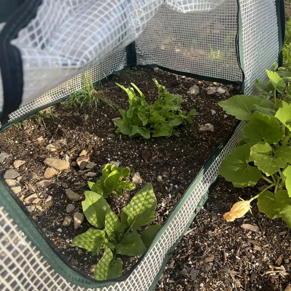 Obst- und Gemüseschutzkäfig, wetterfeste Pflanzenabdeckung, Pop-up-Netz, Pflanzengewächshausabdeckung für erhöhte Sämlinge für den Garten Image