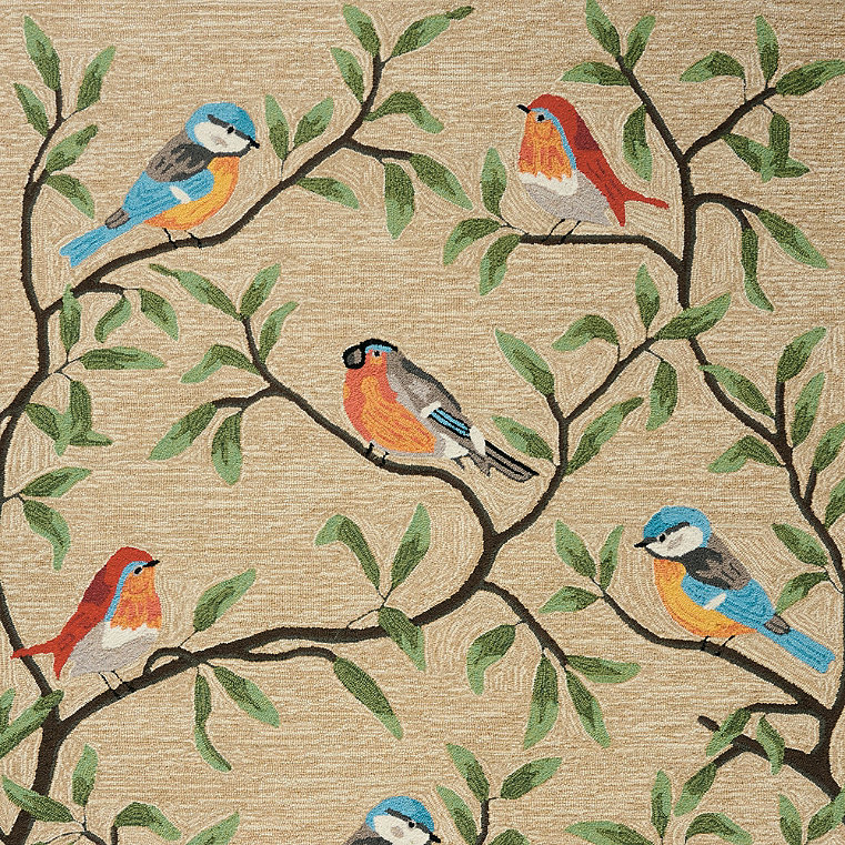 Songbird Hand Tufted Outdoor Rug - 8'3" X 11'6" - Grandin Road