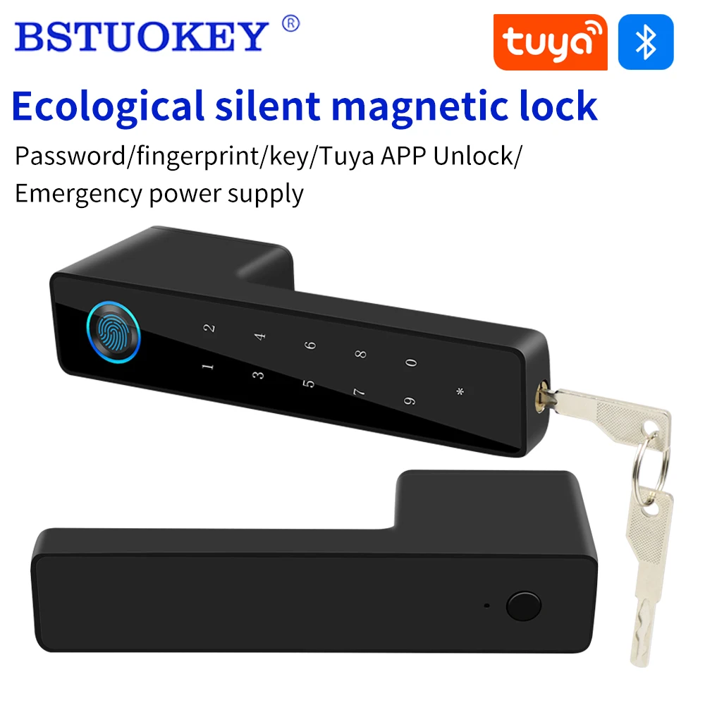 Tuya Versteckte Schlüsselloch Stille Magnetische Saug Türschloss Fingerabdruck Hohe Qualität Sicherheit Schlafzimmer Schloss Doppel Griff Stumm Lockset Image