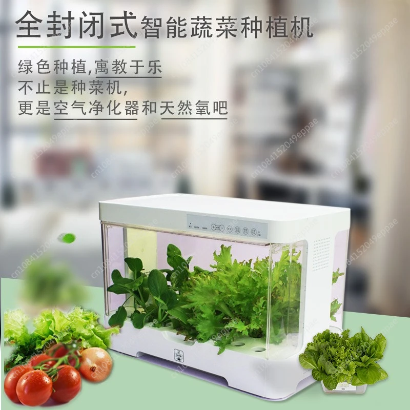 Bodenlose Anbaugeräte, Hydrokultur-Gemüsehaus im Innenbereich, intelligenter Hydrokultur-Pflanzgefäß Image