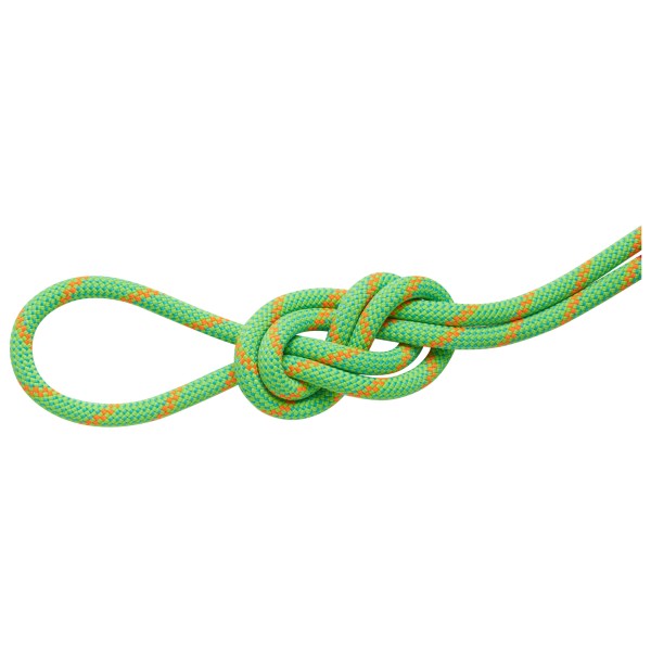 Mammut - 8.0 Alpine Dry Rope - Halbseil Länge 30 m grün