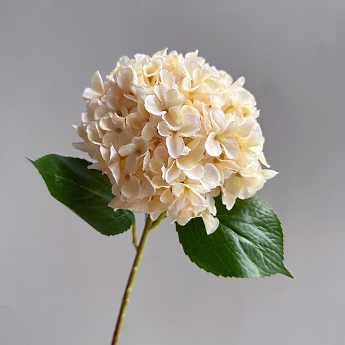 1 künstliche Hortensienblüte, 66 cm – realistische Seidenhortensie für Heimdekoration, Hochzeitsarrangements, Fotohintergrund, künstliche Blumen Image