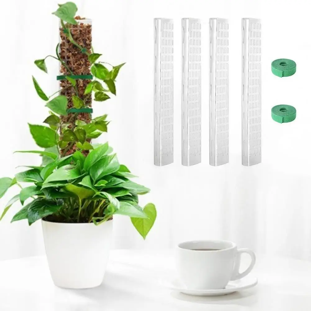 Pflanzenmoosstange, Pflanzenstützpfahl für Kletterpflanzen mit feuchtigkeitsbeständigem Sphagnummoos, Zimmerpflanze für einfaches und gesundes Arbeiten Image