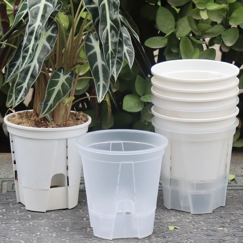 Transparent Self Watering Plant Pot High Performance Plastic Planter With Precision Drainage Holes s4 S