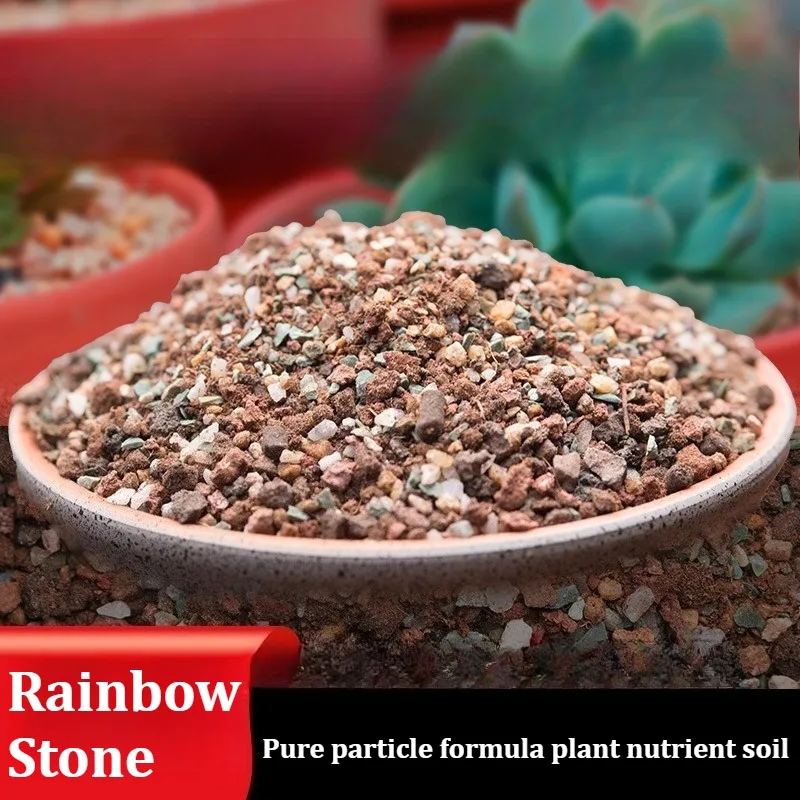 500 g/1000 g Spezialformel für Sukkulenten, Regenbogenstein, reine Partikel, DIY-Topf, Gartendekoration, Pflaster, Pflanzung, gemischter Boden Image