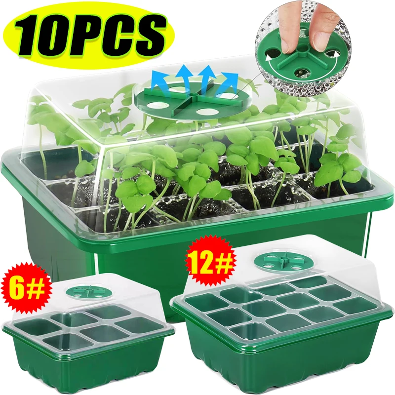 6/12 Grids Growing Starting Kindergarten Trays Seed Starter Kit mit einstellbarer Luftfeuchtigkeit Dome Base Greenhouse Mini Propagator Seeds Image
