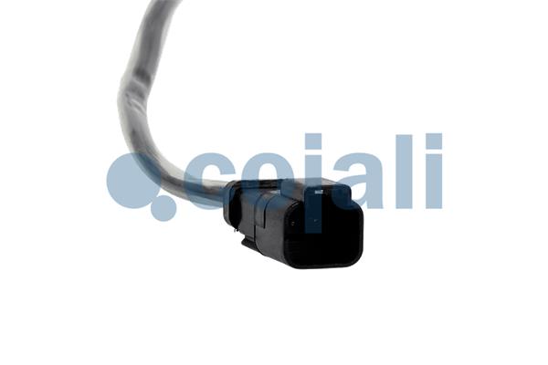 COJALI Sensor, Motorölstand 2263040 Universal Image