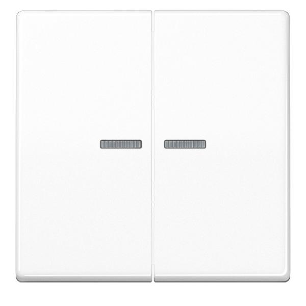 Jung Wippe Lichtleiter aws AS 591-5 KO5 WW AS591-5KO5WW Image
