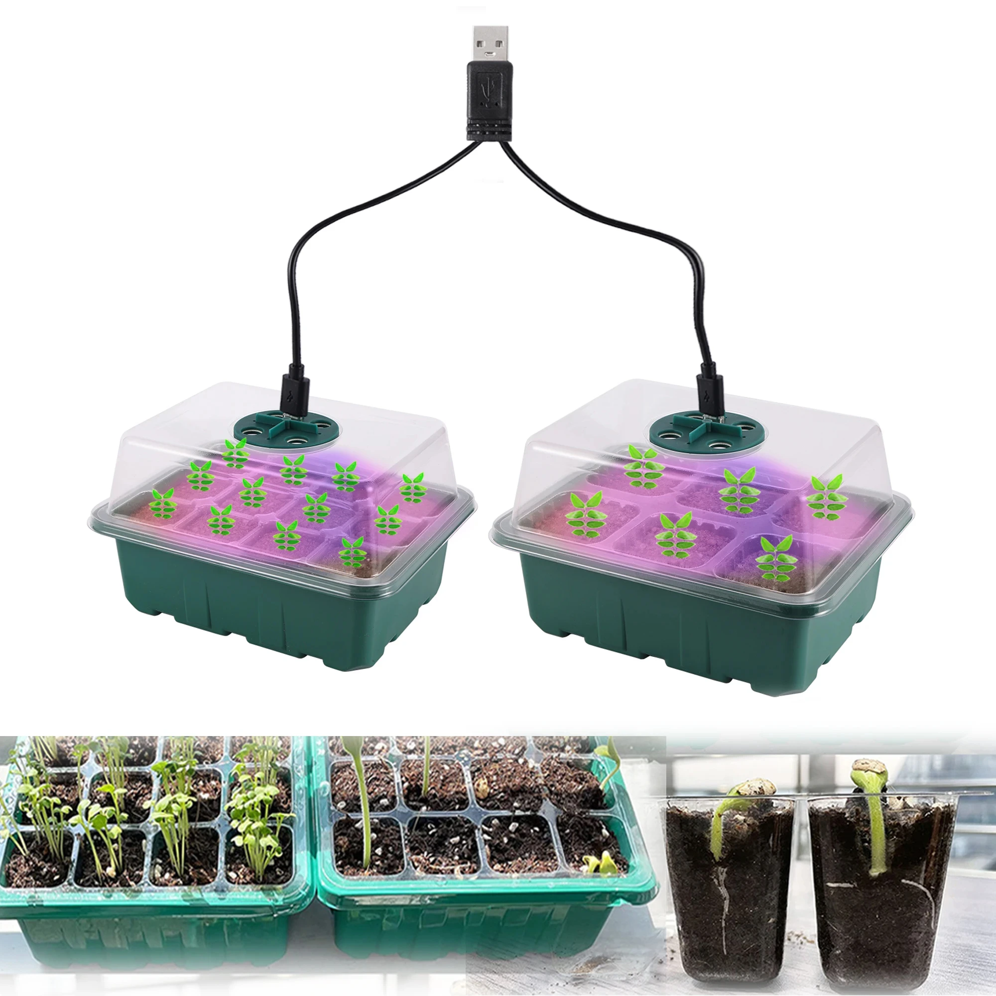 Anzuchtbox mit LED-Wachstumslampe, Pflanzgefäß für Setzlinge, Keimung, Verstellbare Belüftung und Feuchtigkeit, 6/12/13 Zellen Image