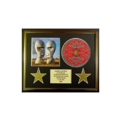 PINK FLOYD/CD DISPLAY/LIMITED EDITION/COA/THE DIVISION BELL