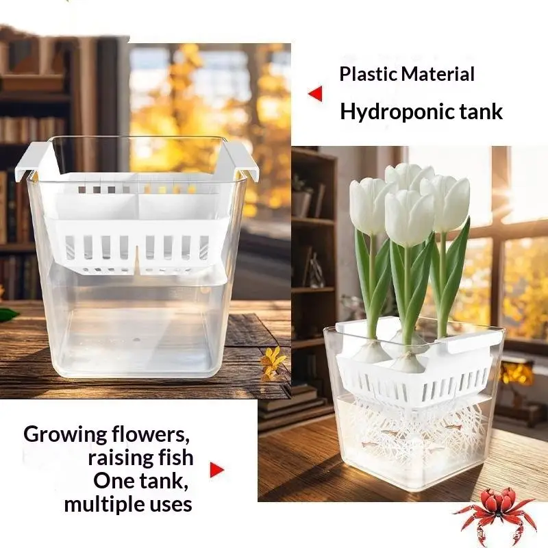 Tulpen-Saatgut Hydroponischer Blumentopf mit Atmungsaktivem Stützkorb 4 Löcher Erdlose Heimdekoration Hydroponische Behälter Image