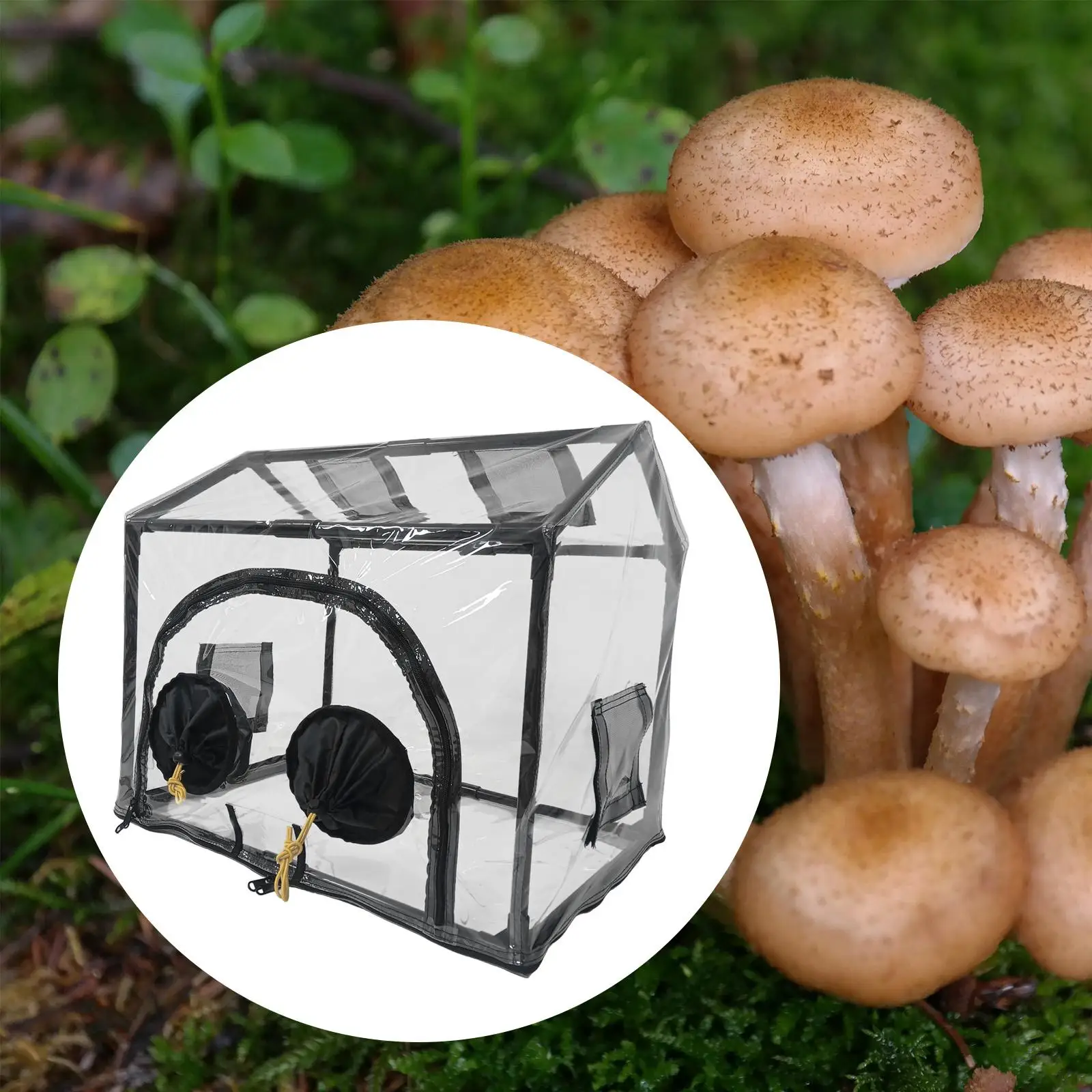 Mini-Gewächshaus-Pflanzbox, tragbare PVC-Pilzzuchtbeutel, luftdichte Gemüsepflanzgefäße für Garten und Hausgebrauch Image